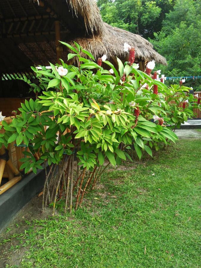 Tua Tua Keladi Bungalows Gili Air Buitenkant foto